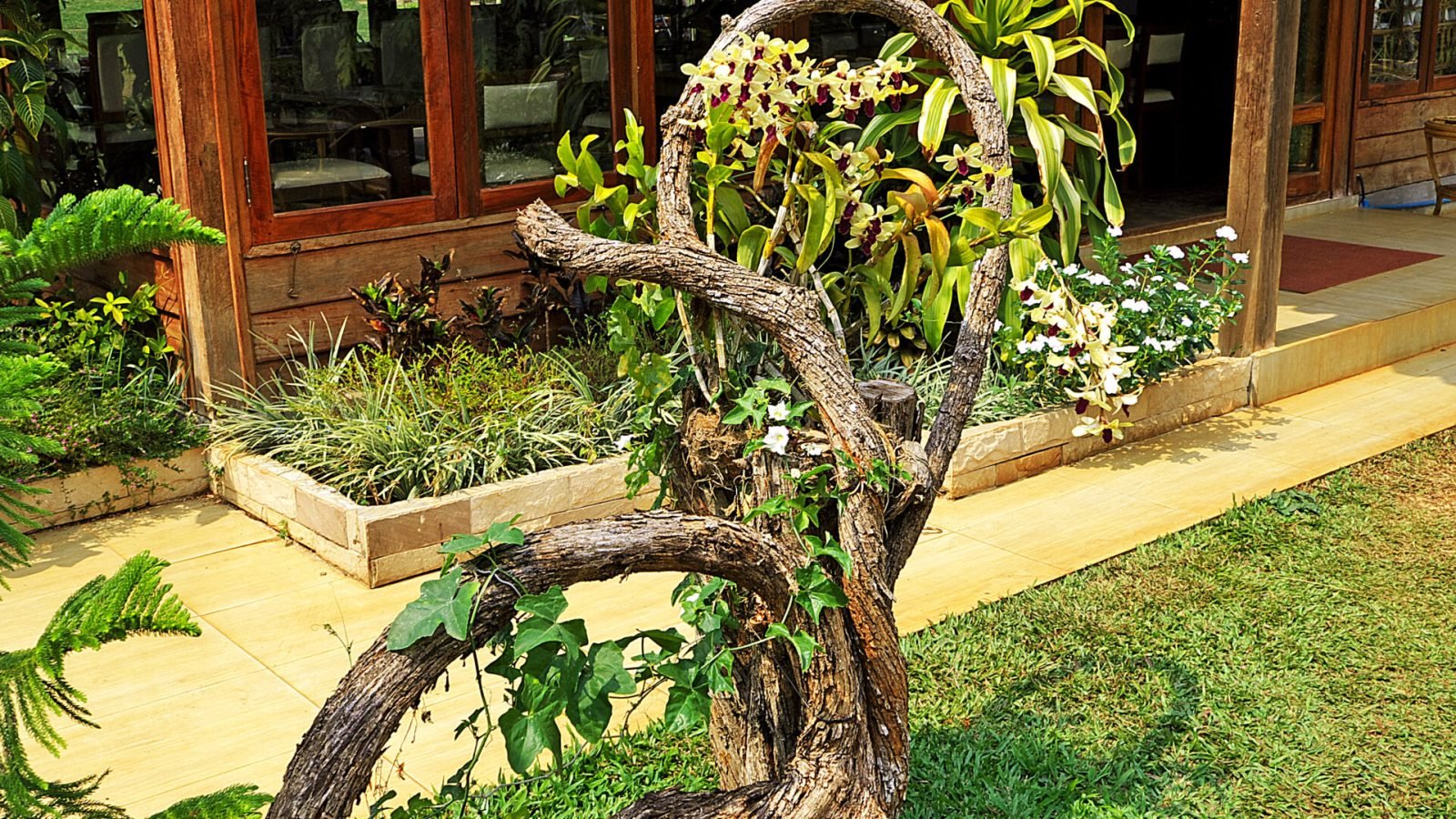 The garden in south Laos